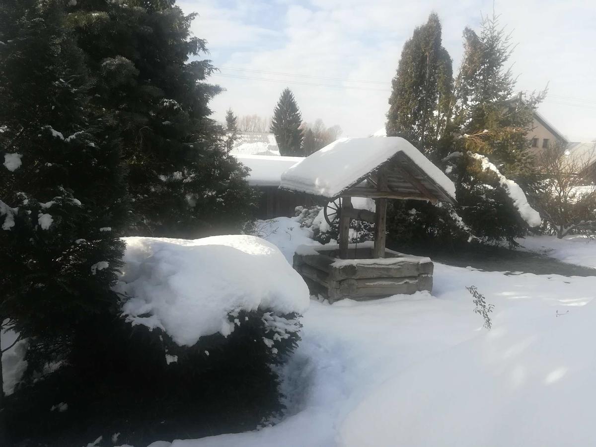 Apartmany Dana Horni Branna Exterior photo