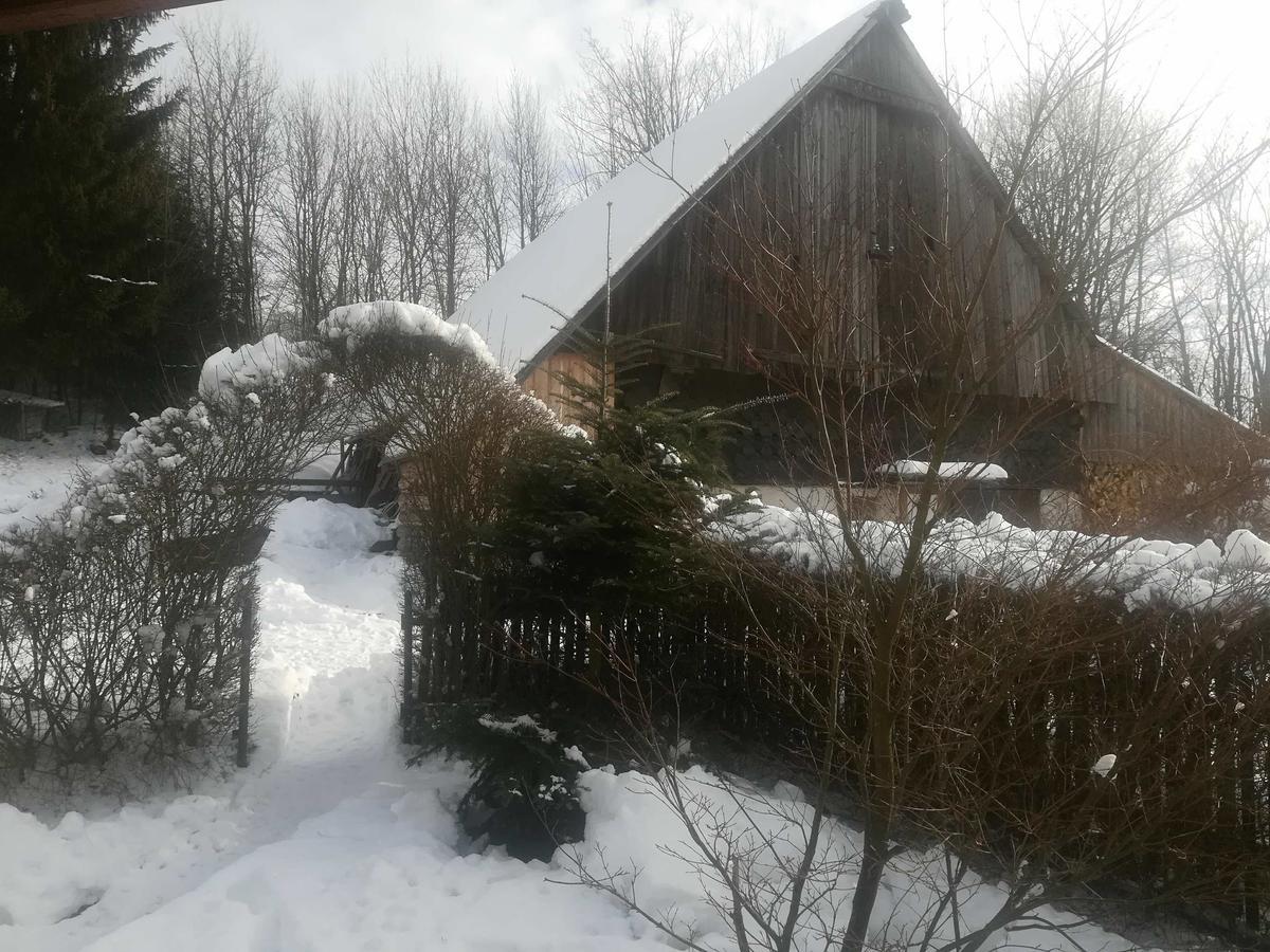 Apartmany Dana Horni Branna Exterior photo